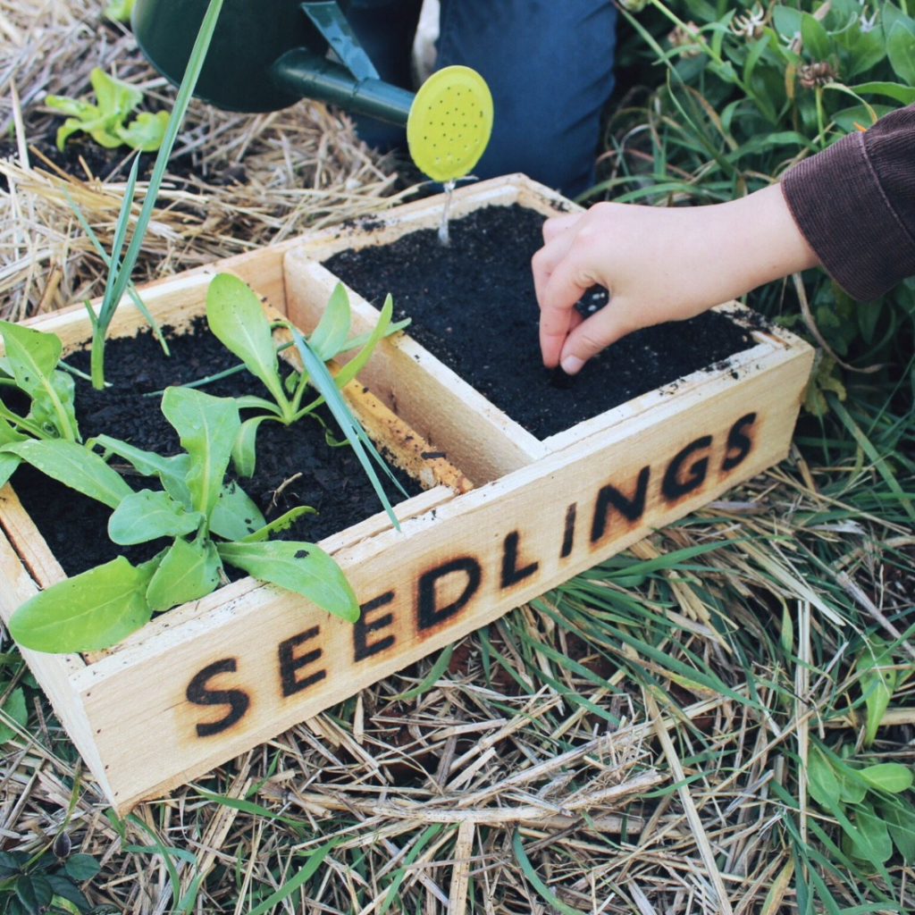 button to buy permaculture course